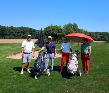 IMG 20250812 133559924 2